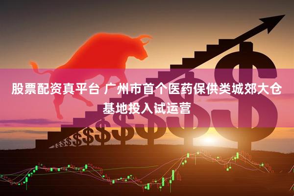 股票配资真平台 广州市首个医药保供类城郊大仓基地投入试运营