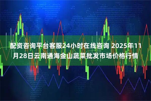 配资咨询平台客服24小时在线咨询 2025年11月28日云南通海金山蔬菜批发市场价格行情